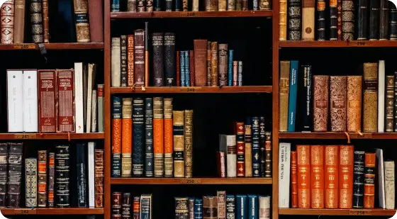 Bookshelf filled with books