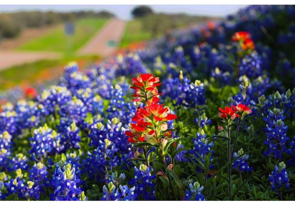 Thriving business in Cuero