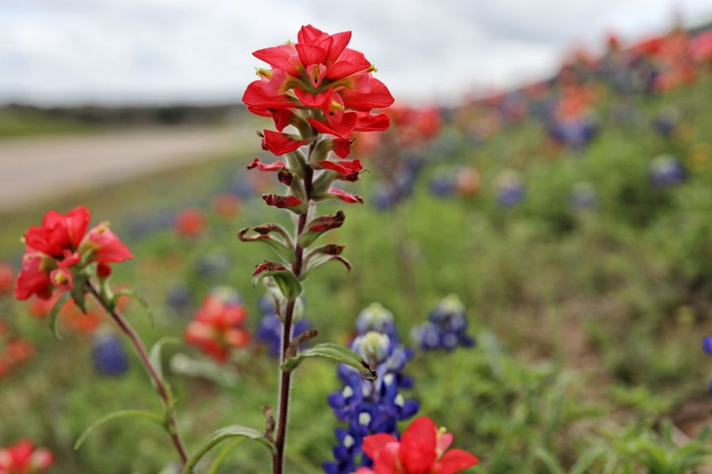 Cuero Texas aerial view