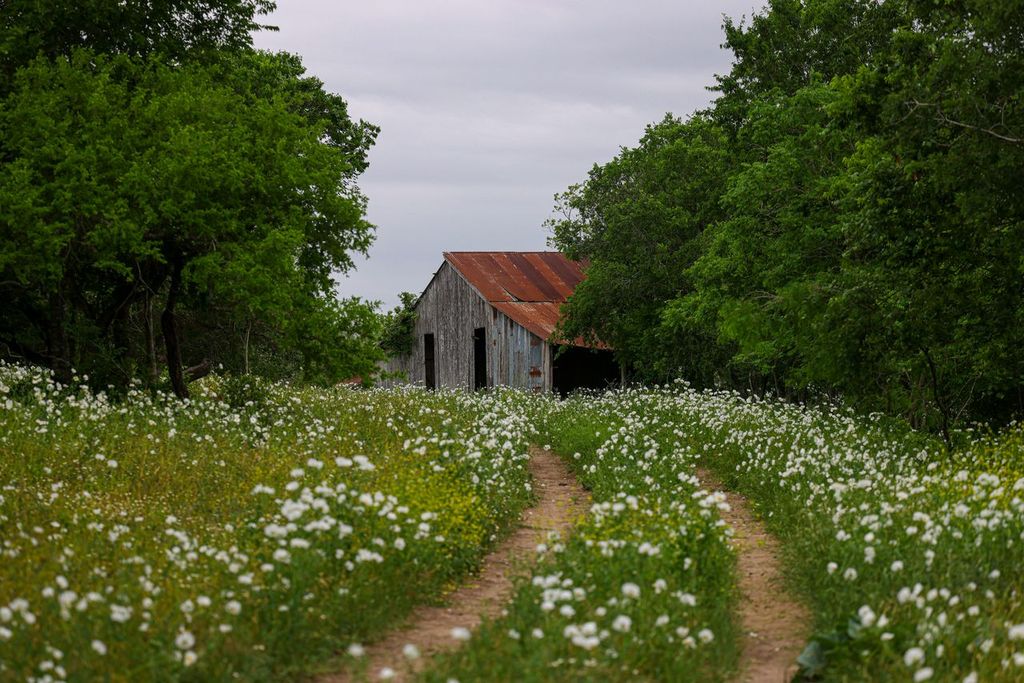 Cuero Infrastructure